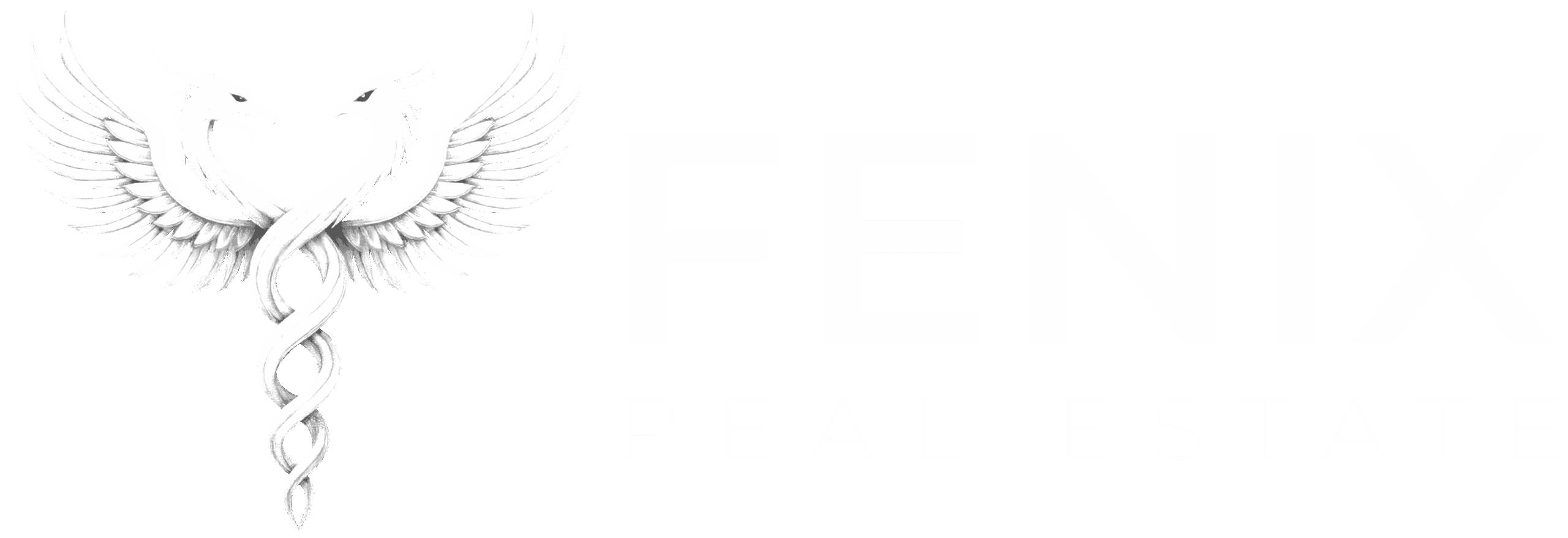 Fenix Real State